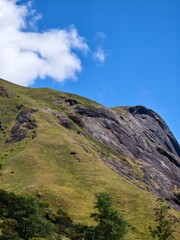 Fototapeta premium Lush Green Tea Plantations Rolling Across Misty Hills in Munnar, Kerala - South India's Hill Station Beauty