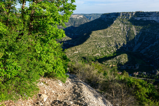 A rugged trail descends beside lush green foliage, offering a sweeping view over the deep limestone cliffs and winding valley of Cirque de Navacelles. Bright sunlight highlights the textures of rock
