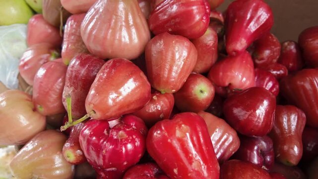 a footage view of red water apples (jambu air merah) at the traditional market