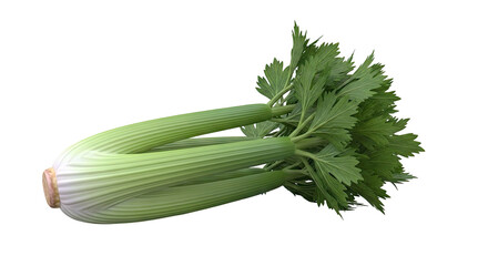 Fototapeta premium Fresh Celery Stalks with Green Leaves