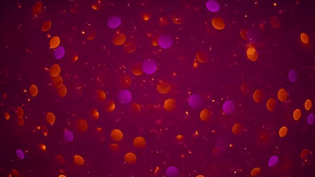 Warm & Cool Twinkle Explore the contrast between a warm firelight hue and a complementary cool tone within the twinkling effect.