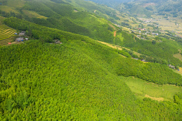 Obraz premium Aerial view of dense bamboo forest covering rolling hills, with scattered rural houses and terraced fields in the distance near Sapa, Vietnam. Sunlight creates vibrant green tones and highlights the