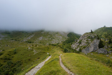 Fototapeta premium A narrow dirt path winds through green alpine hills, passing a prominent rocky outcrop as thick fog blankets the upper slopes under a soft, overcast sky.