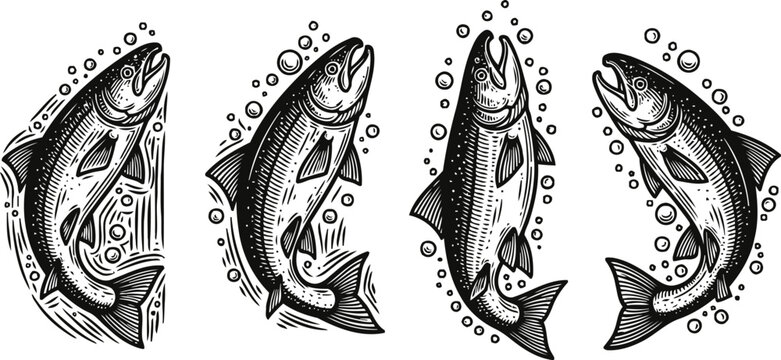 vintage fish illustrations set with bubbles hand drawn aquatic wildlife sketches in black and white