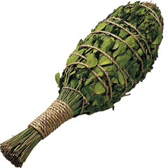 Sauna venik made of leafy green branches