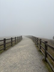 Fototapeta premium Tail in the mist