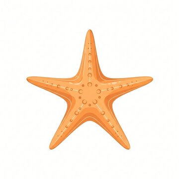 simple starfish vector illustration on solid white background in clean modern style