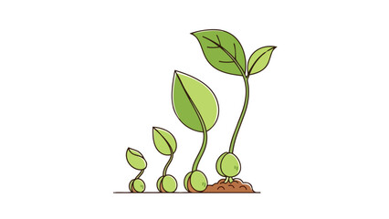 Visual timeline of plant development from seed to flourishing young sprout, illustrating growth and renewal
