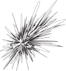 Dynamic black and of radiating lines and shapes