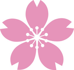 Fototapeta premium Simple Cherry Blossom Flower Illustration. Flat Design Icon of Sakura for Spring Season