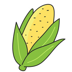 Corn Illustration