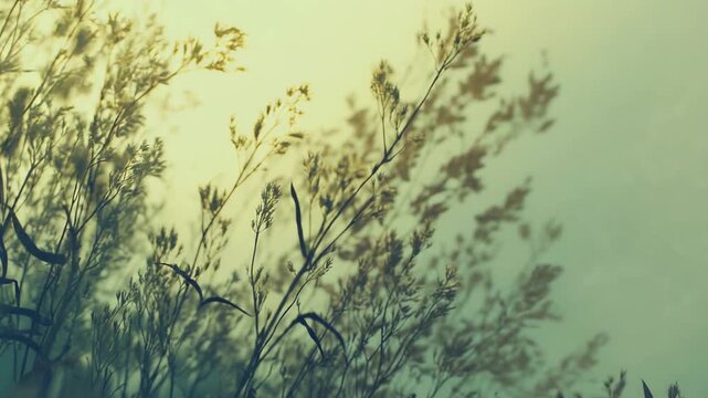 Tall grass stems and plant silhouettes reaching towards a softly blurred green and yellow gradient background, creating a serene and natural atmospheric scene