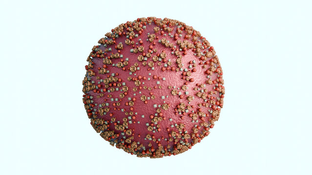 3D rendering of the Nipah virus (NiV), a spherical particle with various protrusions, it is a representation of the virion. A case fatality rate estimated between 40% and 75%.