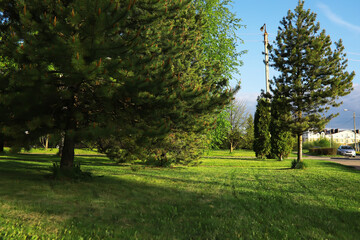 Obraz premium Summer landscape, lush green vegetation and nature.