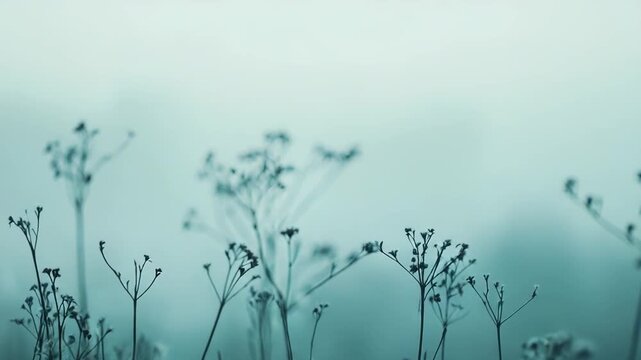 Delicate silhouettes of dry plants emerge from a soft, ethereal mist, creating a minimalist and serene winter natural background with ample copy space for design