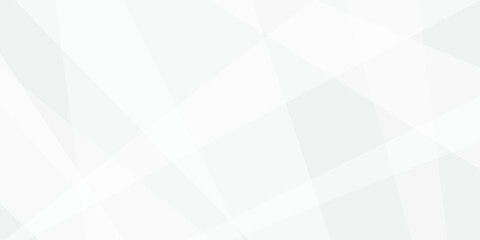 Obraz premium Abstract background with white and gray and geometric style with simple lines and corners, polygons as background geometric style with simple lines and corners, polygons as background paper texture