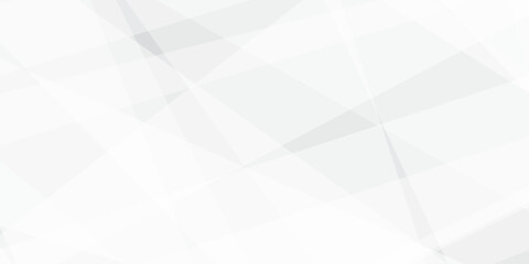 Obraz premium Abstract background with white and gray and geometric style with simple lines and corners, polygons as background geometric style with simple lines and corners, polygons as background paper texture