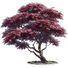 Decorative pink fantasy tree isolated on white background