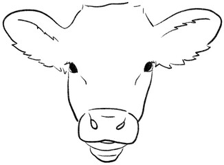 송아지 라인드로잉