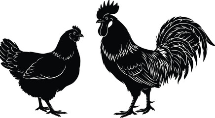 Rooster and hen silhouettes facing each other showing farm poultry animals rural agriculture livestock concept isolated on white background black vector illustration © Amit World