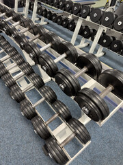 Obraz premium A row of dumbbells are lined up on a rack