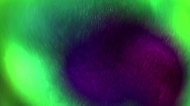 Colorful abstract imagery featuring vibrant green and purple textures, ideal for creative projects and backgrounds.