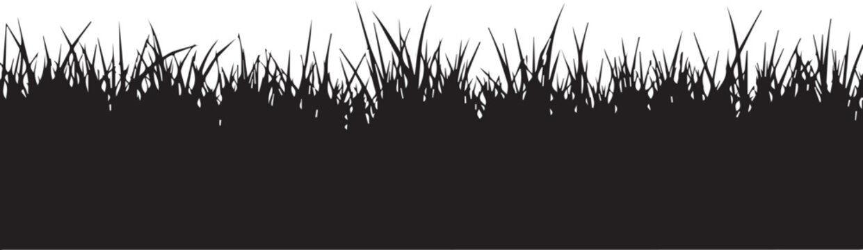 Silhouette of grassy field