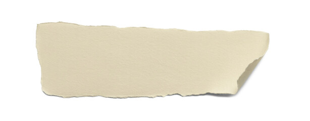 Versatile torn paper, ripped paper with blank paper space and unique paper texture on a clean white background. Ideal for notes, ads, and design elements.