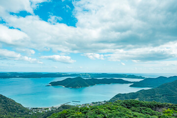 奄美自然観察の森