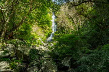 フナンギョの滝