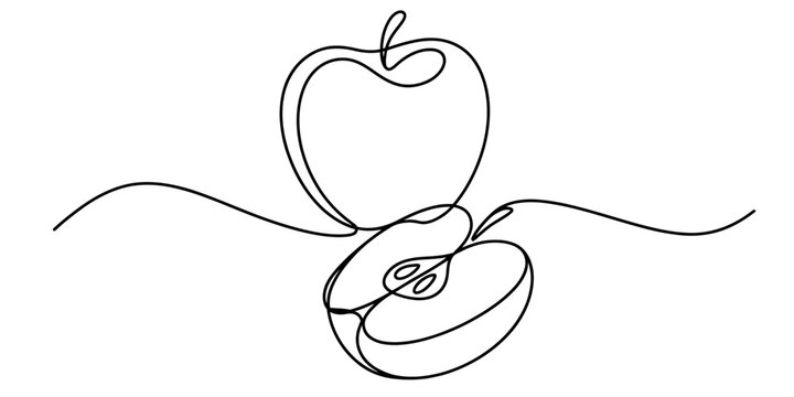 An apple and a cut half apple continuous line art illustration on white background Vector, illustration