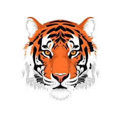 Fierce Tiger Face with Orange and Black Stripes on White Background animal big cat