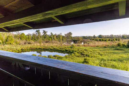 Landschaft im Naturrschutzgebiet Petite Camargue, Frankreich