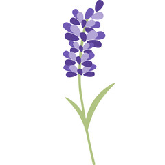 Obraz premium Cute Flower Illustration