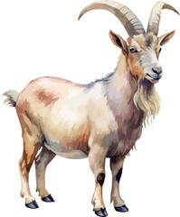 Obraz premium Farm Goat Hand Painted Watercolor Illustration