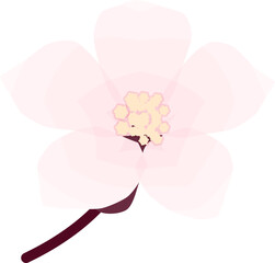 Fototapeta premium Cherry Blossom, Simple Soft Spring Flower Illustration