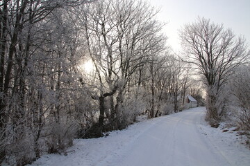 Winter day in January
