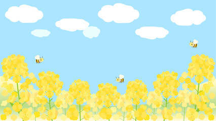 青空に映える菜の花畑をイメージしたイラスト　16：9バージョン