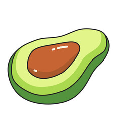 Avocado Illustration