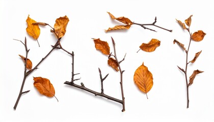 Whispers of Fall: Nature&rsquo;s Palette in Branches