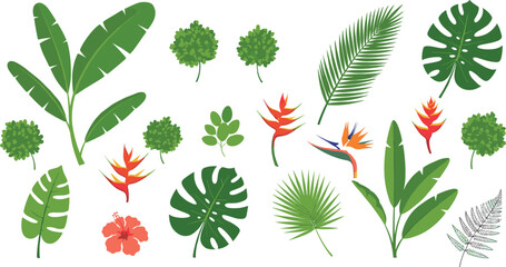 Fototapeta premium Tropical leaves and exotic flowers vector set with palm, monstera, banana leaves, and bird of paradise plants in flat illustration style