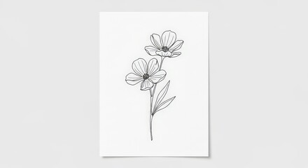 Delicate Botanical Line Art Illustration of Two Blooming Flowers with Leaves