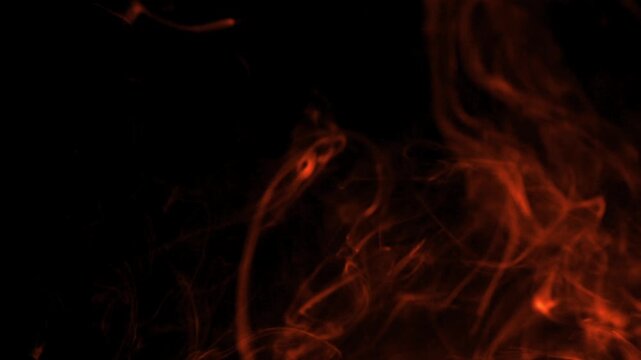 Mystical Smoke Patterns Dance in the Dark Background, Shaping Abstract Art