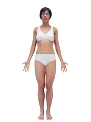 Fototapeta premium Comprehensive 3D Depiction Showing The Full Body Of A Woman
