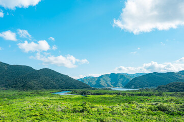 マングローブ展望台