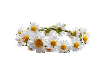 Obraz premium Delicate pastel flower crown in aesthetic arrangement isolated on transparent background