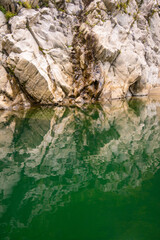 川面に映る大歩危の岩肌
