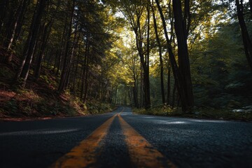 Road winding through a lush forest with vibrant trees during daylight, highlighting nature's tranquility and beauty in a serene environment