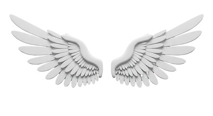 Fototapeta premium White Angel Wings on White Background