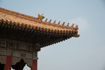 Fototapeta premium Forbidden City Beijing - Golden Dragon Roof with Imperial Finials